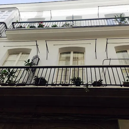 Atico Falla 加的斯